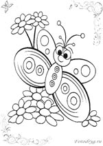 Раскраски бабочки