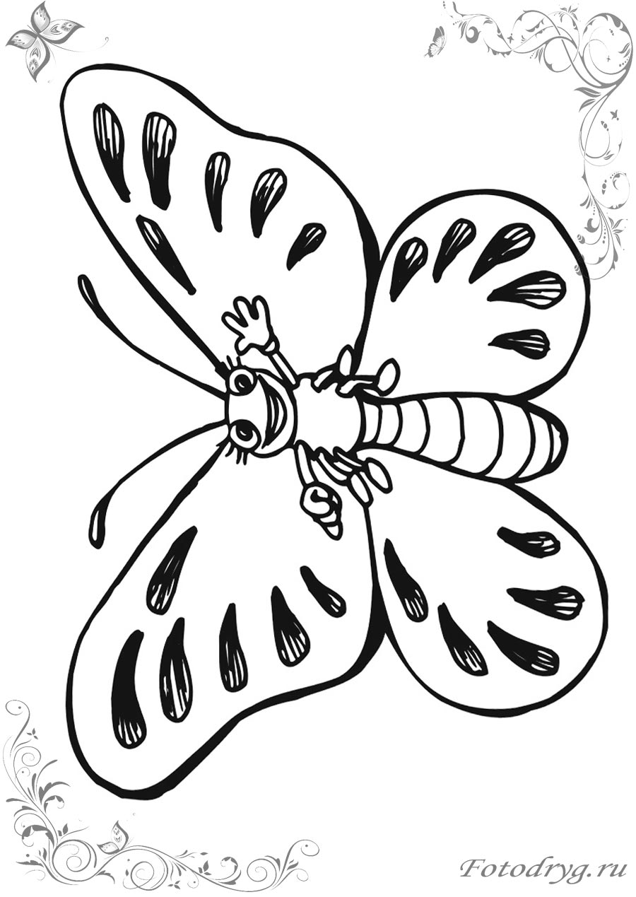 Раскраски бабочки для мальчиков распечатать на принтере