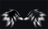 Трюки фотошопа - анимированные крылья